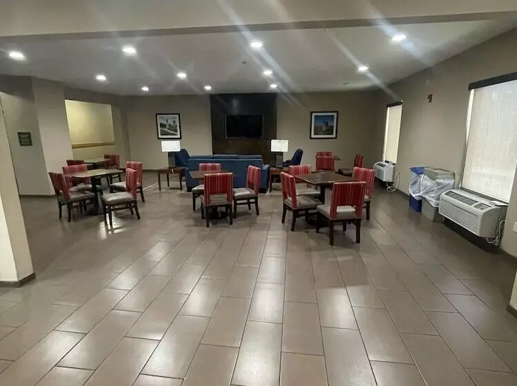 酒店 Comfort Inn & Suites Airport