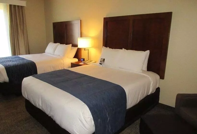 酒店 Comfort Inn & Suites Airport