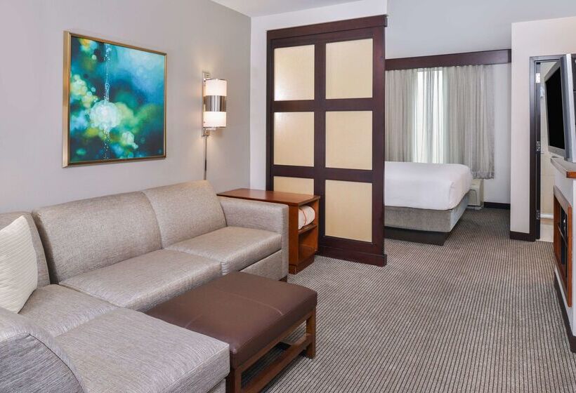 فندق Hyatt Place Chesapeake