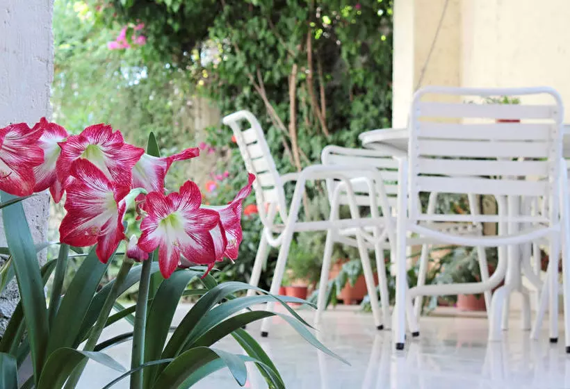 هتل Paradise Departamentos