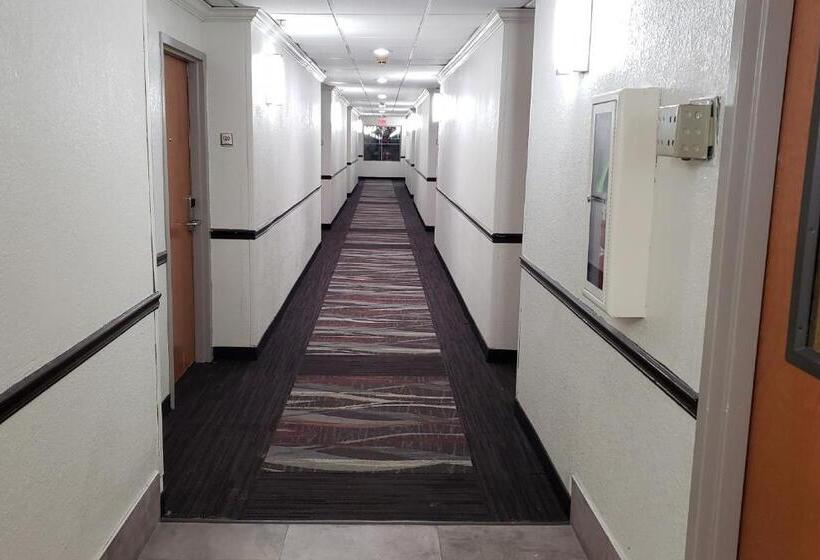 בית מלון כפרי Red Roof Inn & Suites Vicksburg