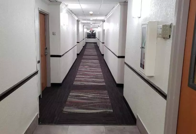 호텔 Red Roof Inn & Suites Vicksburg