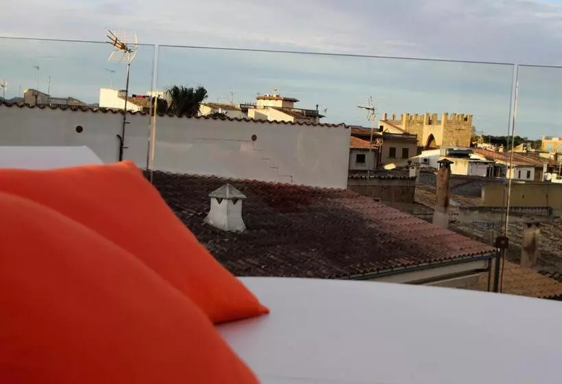 호텔 Alcudia Petit  Turismo De Interior