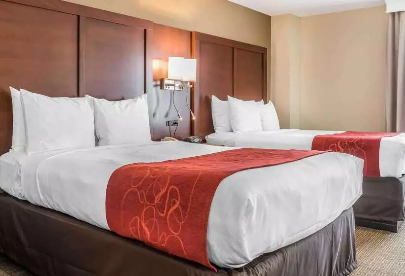 호텔 Comfort Suites