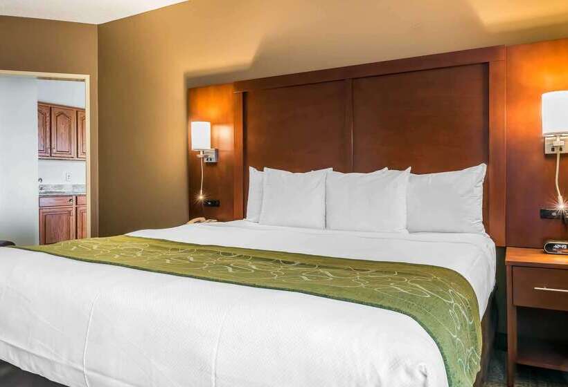 호텔 Comfort Suites