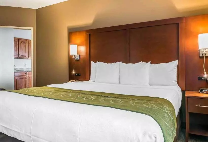 호텔 Comfort Suites