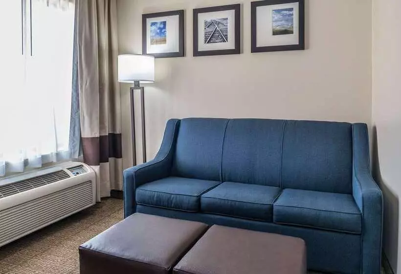 호텔 Comfort Suites