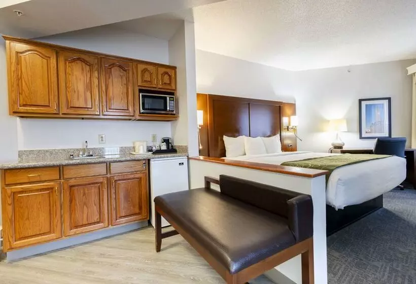 호텔 Comfort Suites