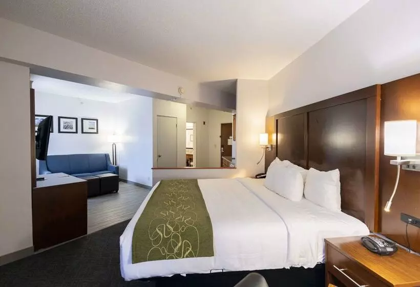 호텔 Comfort Suites