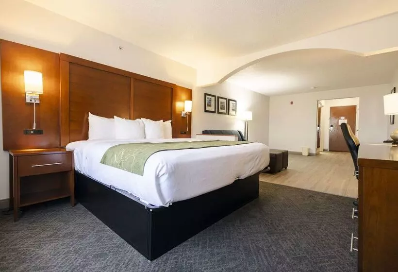 호텔 Comfort Suites