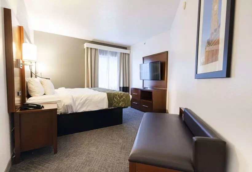 호텔 Comfort Suites