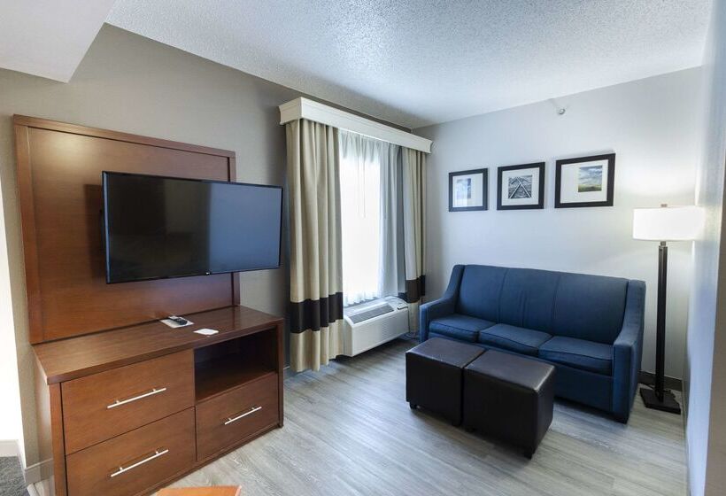 호텔 Comfort Suites