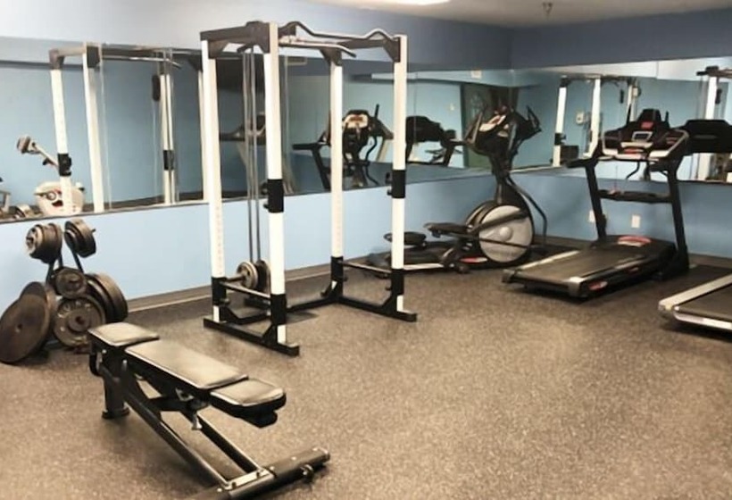 호텔 Ivy Court Inn And Suites