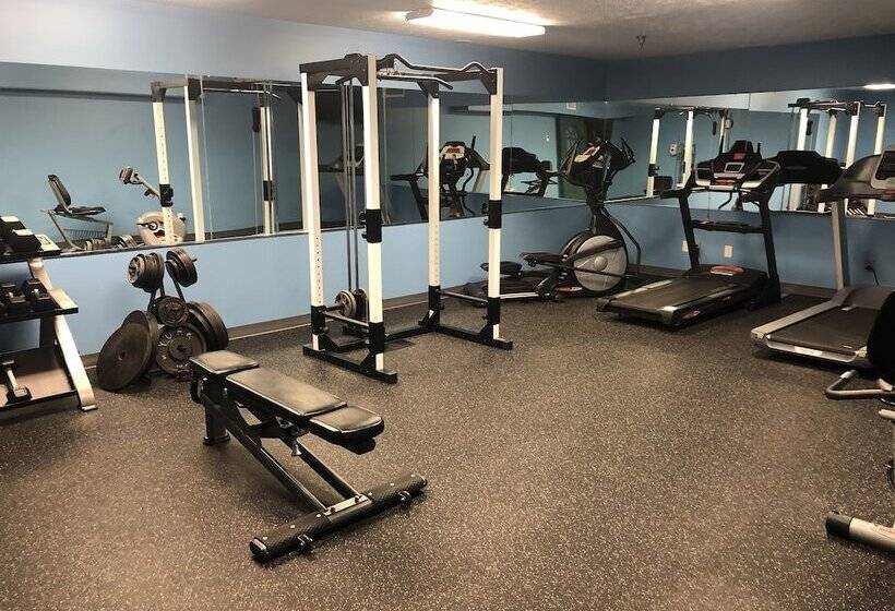 호텔 Ivy Court Inn And Suites