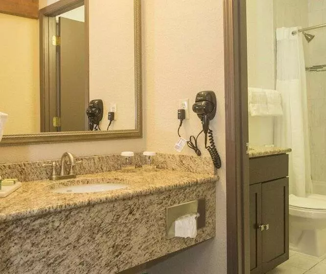 호텔 Ivy Court Inn And Suites