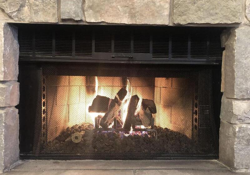 호텔 Ivy Court Inn And Suites