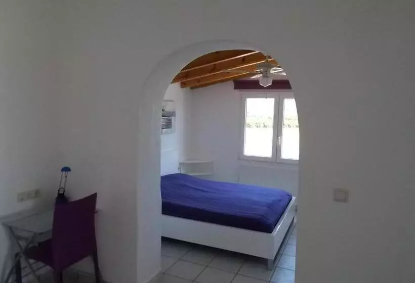 Отель Pensión Los Caballos