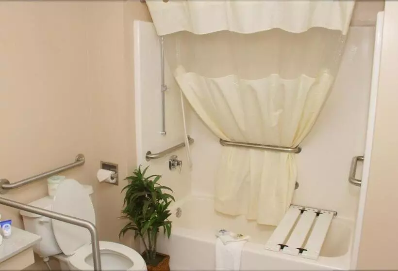 Отель Americas Best Value Inn Rome