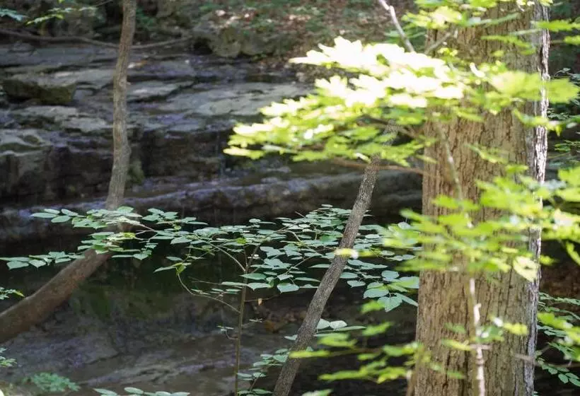 Отель Cabins At Green Mountain, Trademark Collection By Wyndham