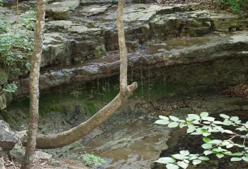 Отель Cabins At Green Mountain, Trademark Collection By Wyndham