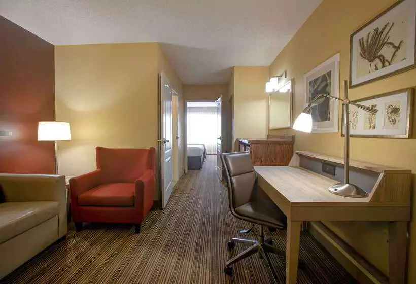 Hotelli Comfort Inn & Suites St. Paul Northeast