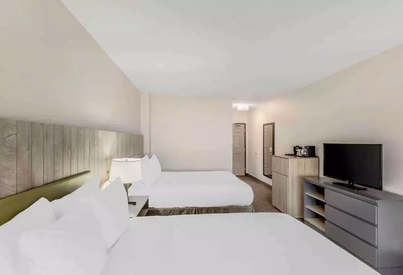 호텔 Country Inn & Suites By Radisson Elk Grove Village Itasca