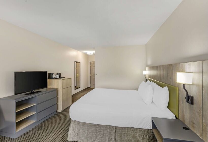 酒店 Country Inn & Suites By Radisson Elk Grove Village Itasca