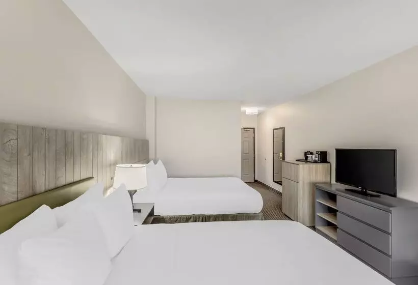 호텔 Country Inn & Suites By Radisson Elk Grove Village Itasca