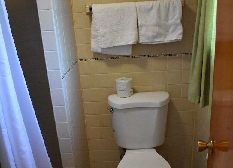 Отель Economy Inn