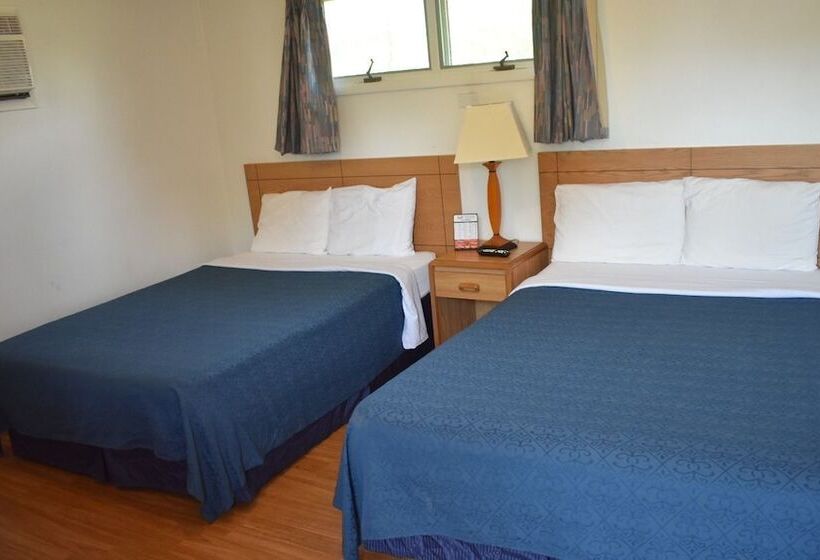 Отель Economy Inn