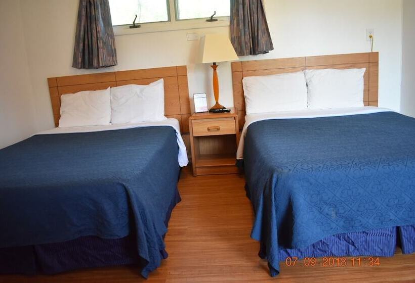 Отель Economy Inn