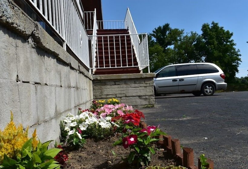 Отель Economy Inn