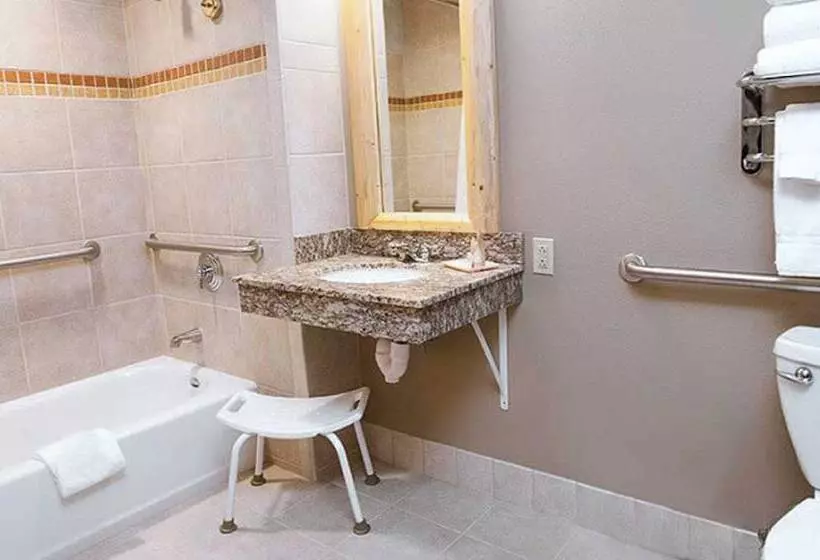 ホテル Great Wolf Lodge Kansas City