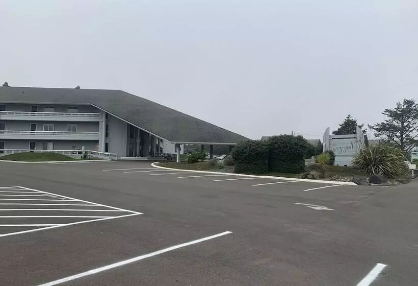 בית מלון כפרי Grey Gull