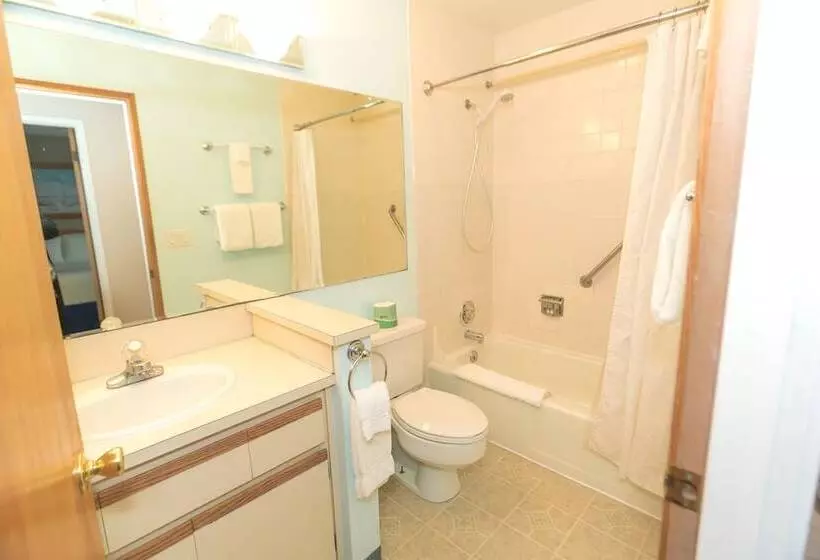 בית מלון כפרי Grey Gull