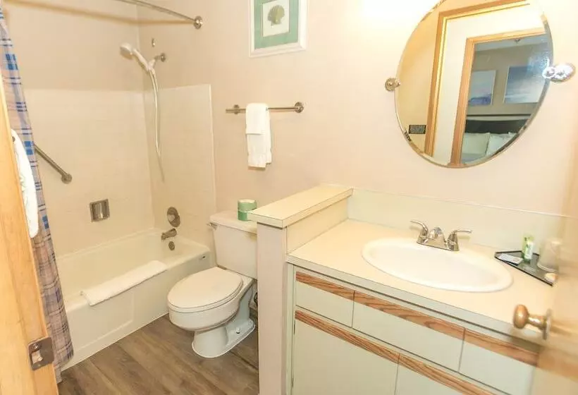 בית מלון כפרי Grey Gull