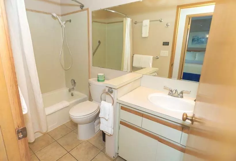 בית מלון כפרי Grey Gull