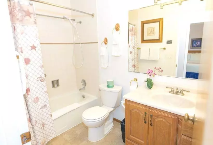 בית מלון כפרי Grey Gull