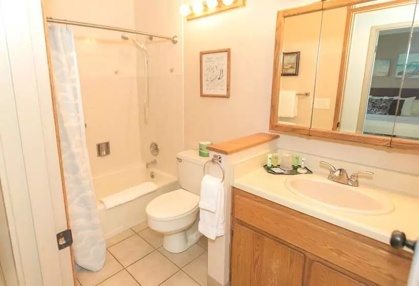 בית מלון כפרי Grey Gull