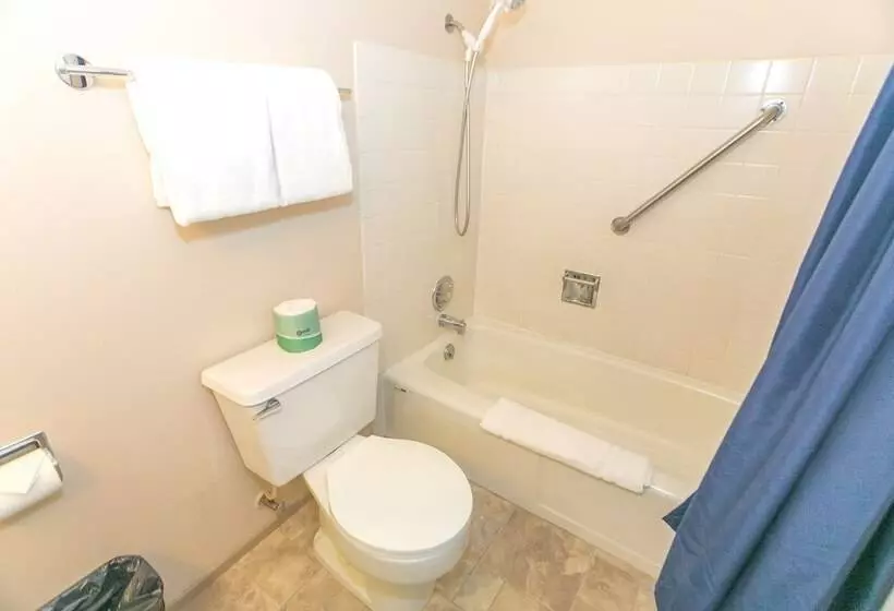 בית מלון כפרי Grey Gull