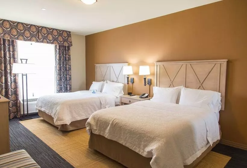 فندق Hampton Inn & Suites Dodge City