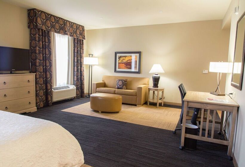 בית מלון כפרי Hampton Inn & Suites Dodge City