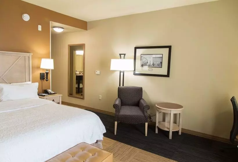 فندق Hampton Inn & Suites Dodge City