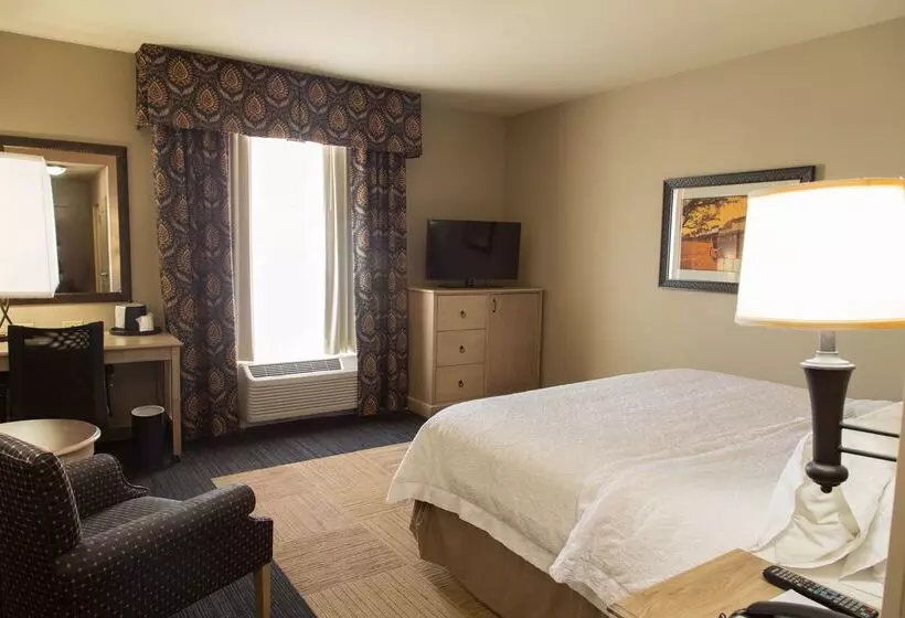 فندق Hampton Inn & Suites Dodge City