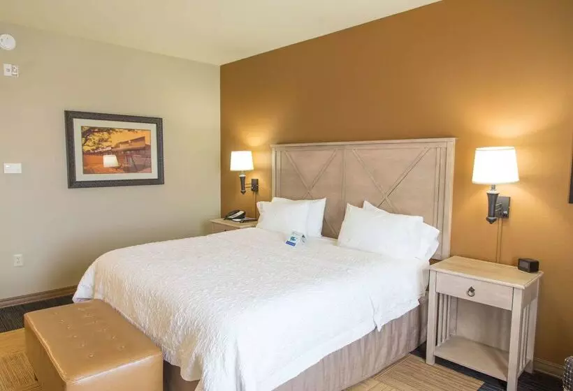 فندق Hampton Inn & Suites Dodge City