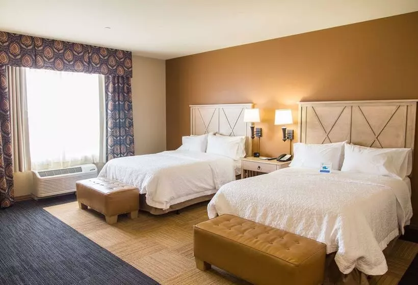 فندق Hampton Inn & Suites Dodge City