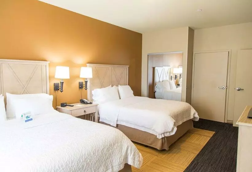 فندق Hampton Inn & Suites Dodge City