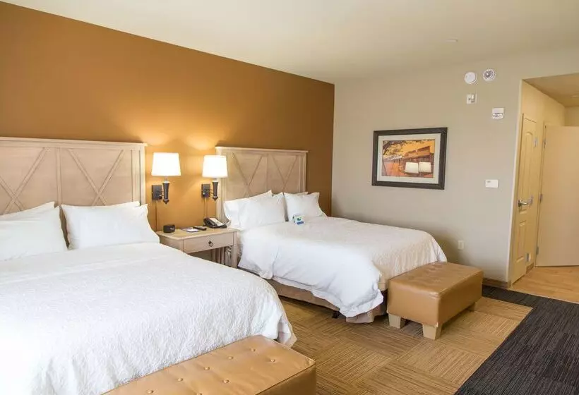 فندق Hampton Inn & Suites Dodge City