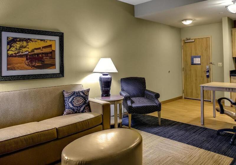 בית מלון כפרי Hampton Inn & Suites Dodge City