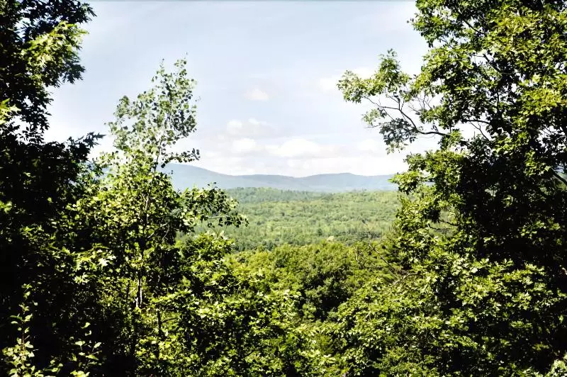 酒店 Red Carpet Inn And Suites Plymouth